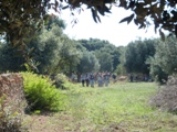 Clicca qui per vedere l'immagine in dettaglio